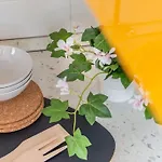 公寓 Mimosa- Loft Elegante Con Terrazza Nel Centro Di *