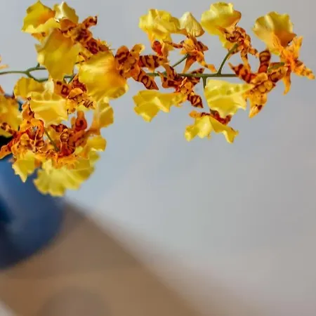 Mimosa- Loft Elegante Con Terrazza Nel Centro Di