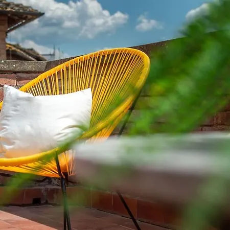 Mimosa- Loft Elegante Con Terrazza Nel Centro Di