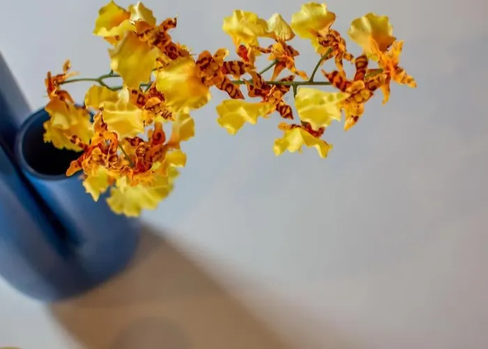 Mimosa- Loft Elegante Con Terrazza Nel Centro Di